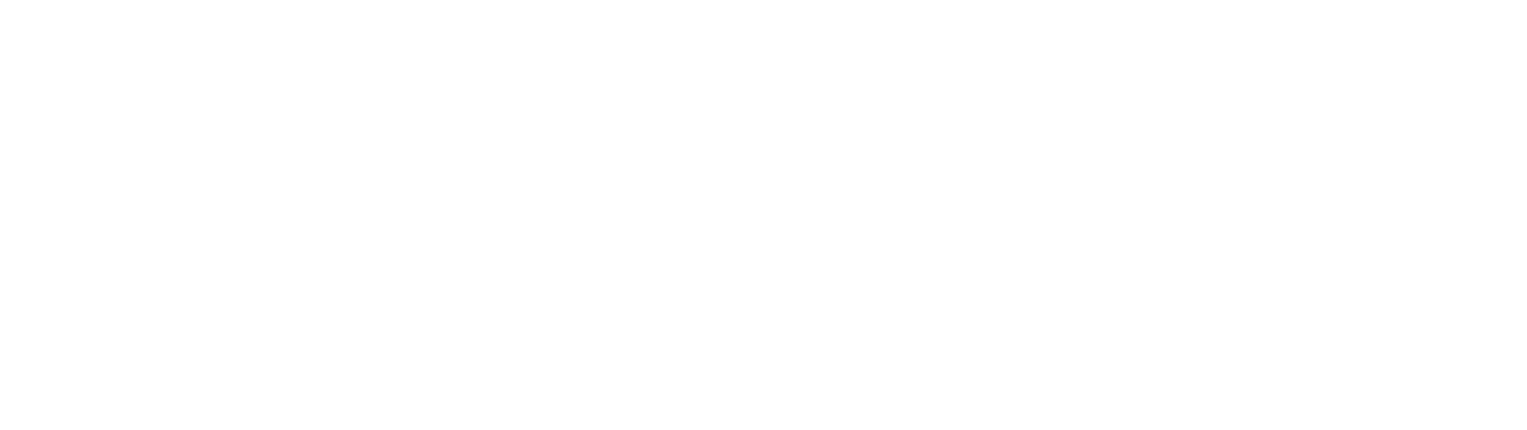 Dra. Bruna Laursen